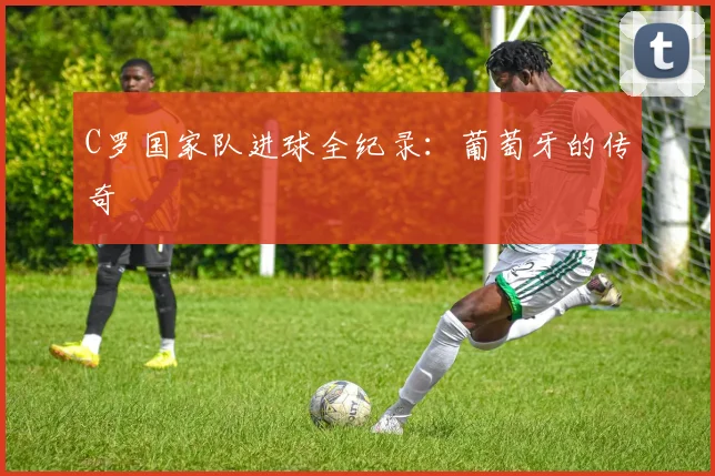 C罗国家队进球全纪录：葡萄牙的传奇